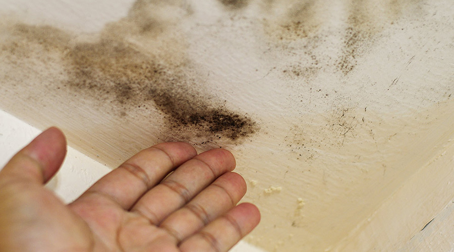 water-damage-on-ceiling-miami-fl